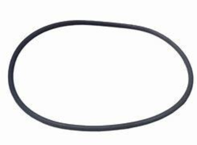 O-Ring, Millennium Filter by Astral Pool
