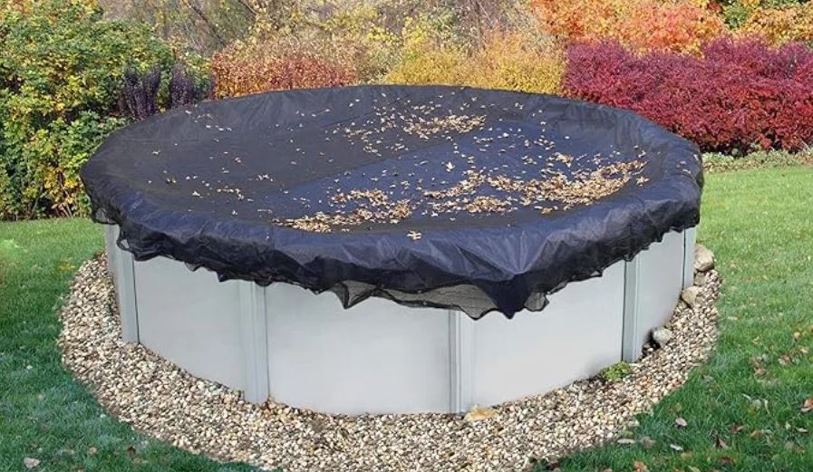 What Happens to Your Pool When Leaves Fall Into It All Winter?