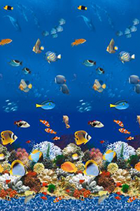 Caribbean Coral Overlap Above Ground Pool Liners