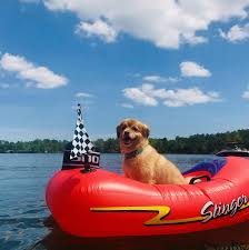 Stinger Speedboat Float