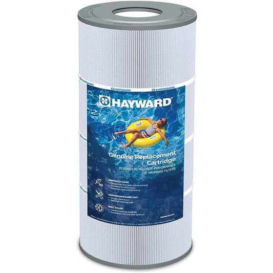 Remplacement de la cartouche filtrante – Pour Hayward