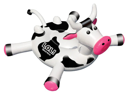 Barnyard Pool Party Package