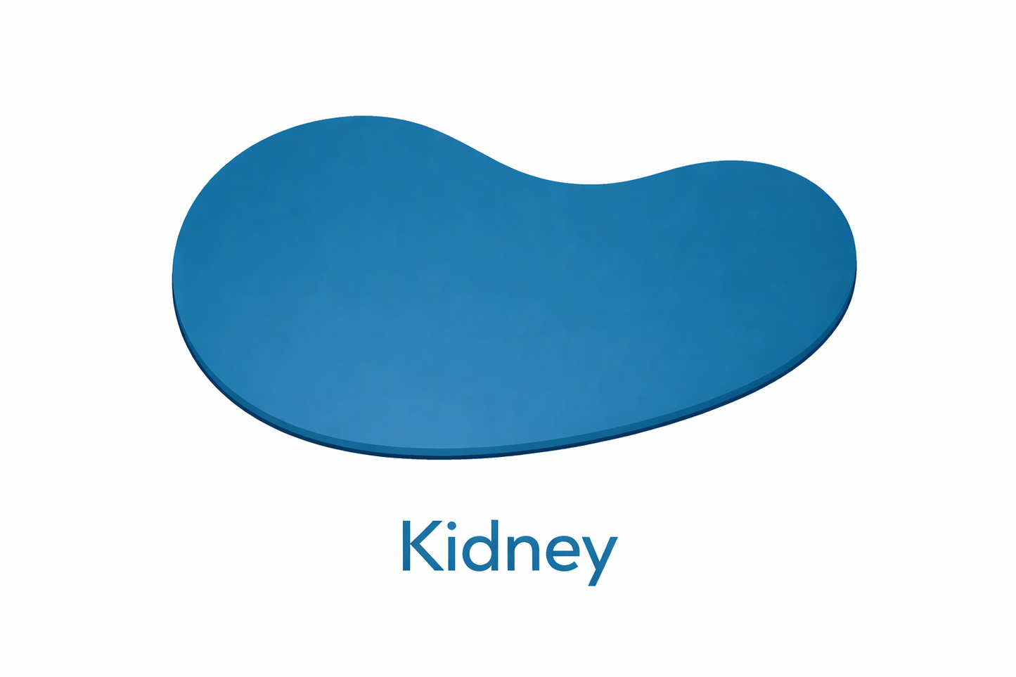 12 x 24 Kidney Inground Pool Kit