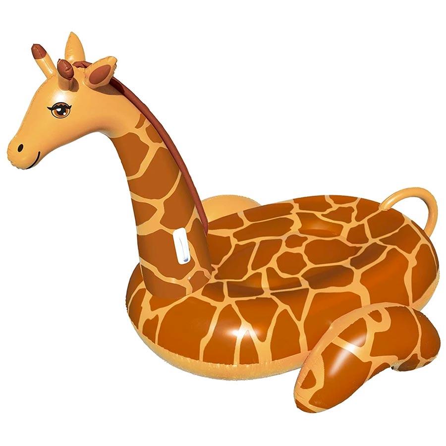 Safari Pool Party Package